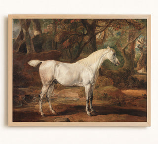 GREY ARABIAN STALLION - Museum Quality Art