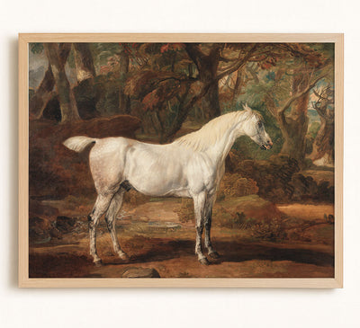 GREY ARABIAN STALLION - Museum Quality Art