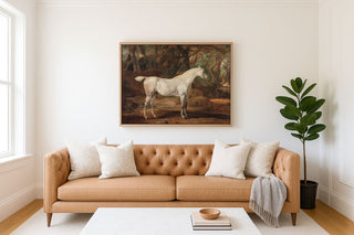 GREY ARABIAN STALLION - Museum Quality Art