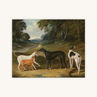 GREYHOUNDS — Primary Image