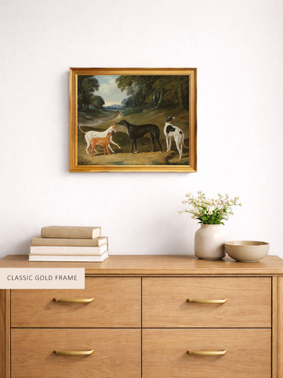 Greyhounds