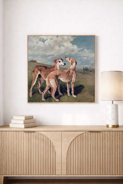Greyhounds
