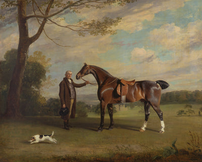 GROOM WITH BAY HUNTER