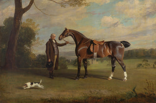 GROOM WITH BAY HUNTER