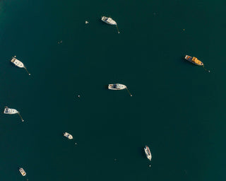 Harbor Stillness