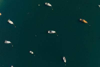 Harbor Stillness
