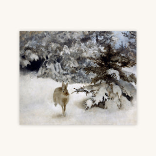 HARE IN THE SNOW — Primary Image