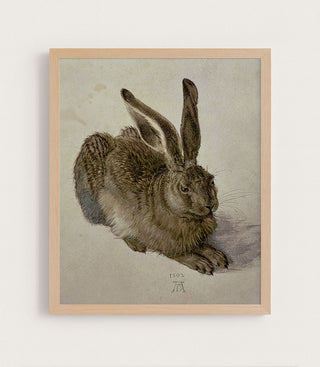 Hare