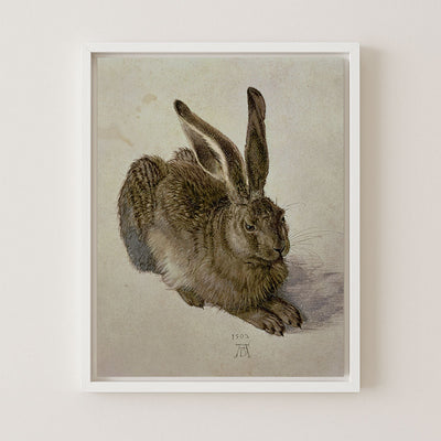 Hare