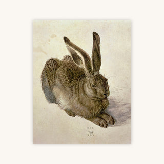 HARE — Primary Image