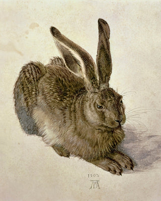 HARE