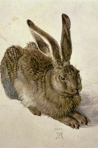 HARE
