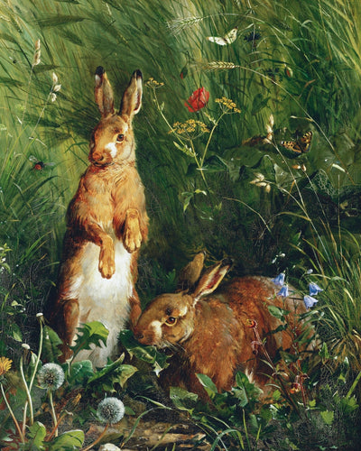 Hares