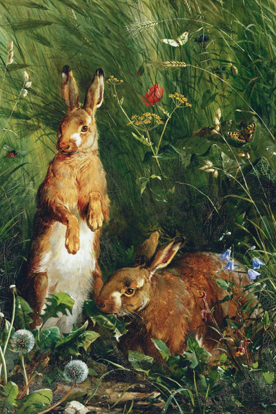 Hares