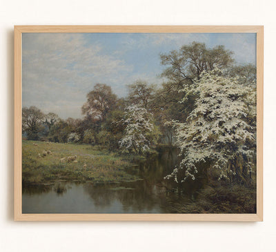 Hawthorn Blossom