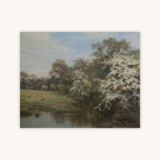 HAWTHORN BLOSSOM — Primary Image