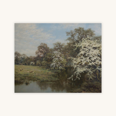 HAWTHORN BLOSSOM — Primary Image