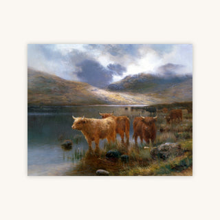 HIGHLAND CATTLE BY A LOCH — Primary Image
