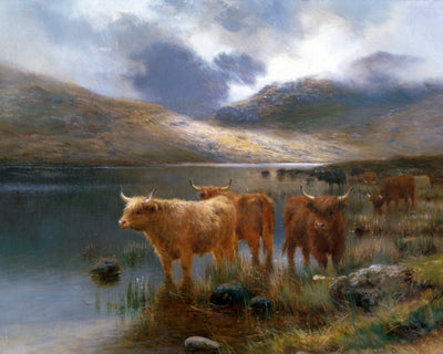 HIGHLAND CATTLE BY A LOCH