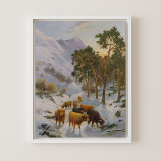 Highland Cattle in a Winter Landscape