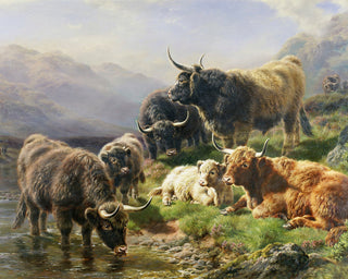 HIGHLAND CATTLE - Museum Quality Art