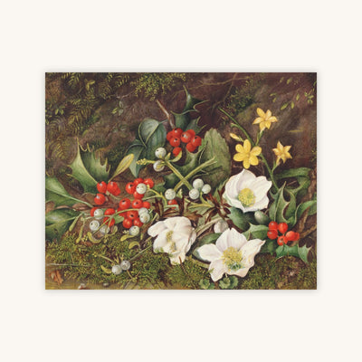 HOLLY AND CHRISTMAS ROSES — Primary Image