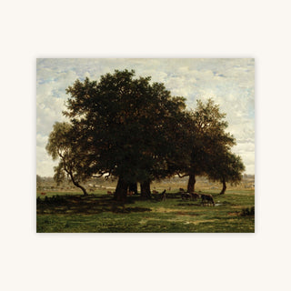 HOLM OAKS, APREMONT — Primary Image
