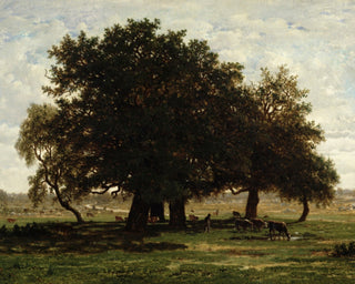 Holm Oaks, Apremont