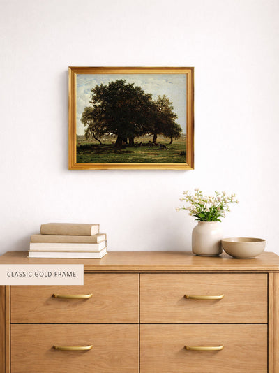 Holm Oaks, Apremont