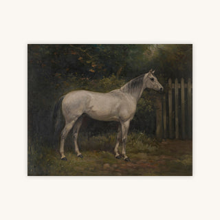 HORSE IN THE GARDEN — Primary Image