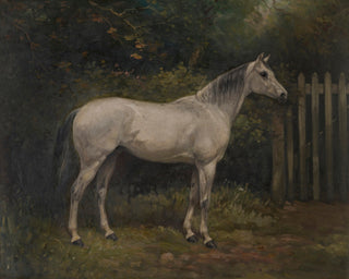 HORSE IN THE GARDEN