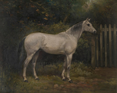 HORSE IN THE GARDEN