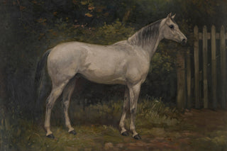 HORSE IN THE GARDEN
