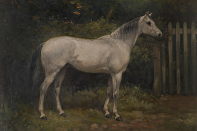HORSE IN THE GARDEN