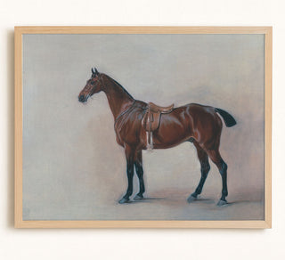HORSE STUDY - Museum Quality Art