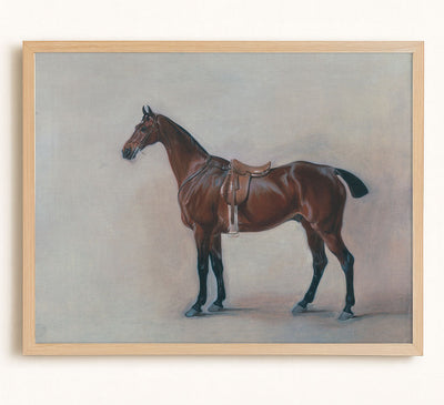 HORSE STUDY - Museum Quality Art