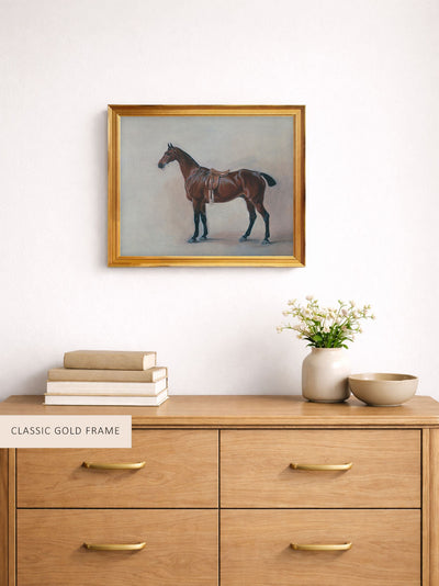 Horse Study