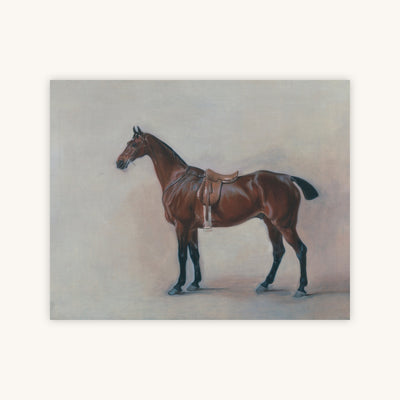 HORSE STUDY — Primary Image