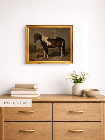 Horse With the Barn in the Background