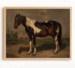 Horse With the Barn in the Background