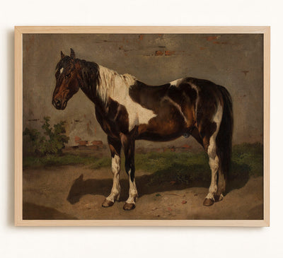 Horse With the Barn in the Background