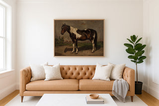 Horse With the Barn in the Background