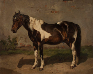 HORSE WITH THE BARN IN THE BACKGROUND