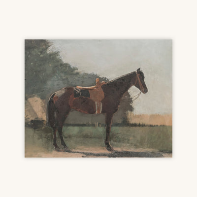 HORSE — Primary Image