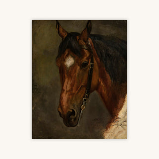 HORSE'S HEAD — Primary Image