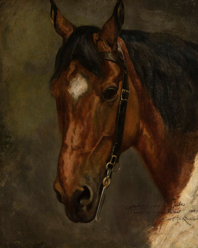 Horse&