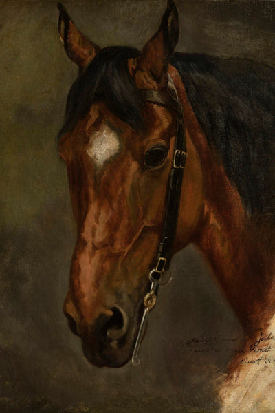 Horse&