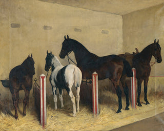 HORSES IN STABLE