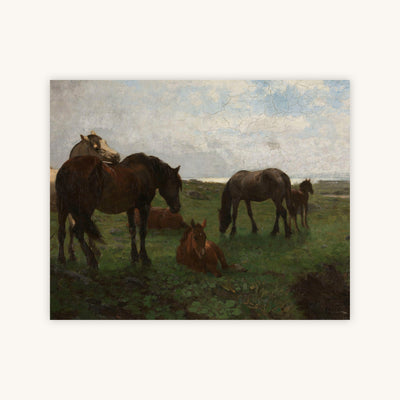 HORSES — Primary Image