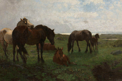 Horses